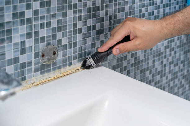 Best Same-Day Mold Removal  in Carbondale, PA