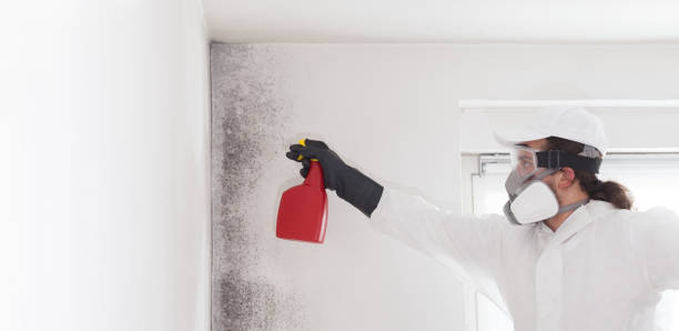 Best Home Mold Removal  in Carbondale, PA